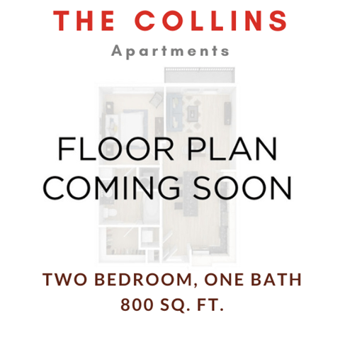Floor plan for 2 beds, 1 bath, 800 sqft